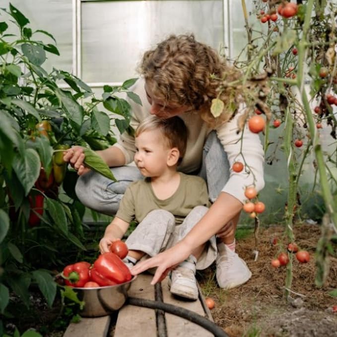 All Natural Seed Starter Mix for Fast Germination and Vigorous Seedlings with Strong Root Systems for Indoor Home Gardens, 12 Quart Bag