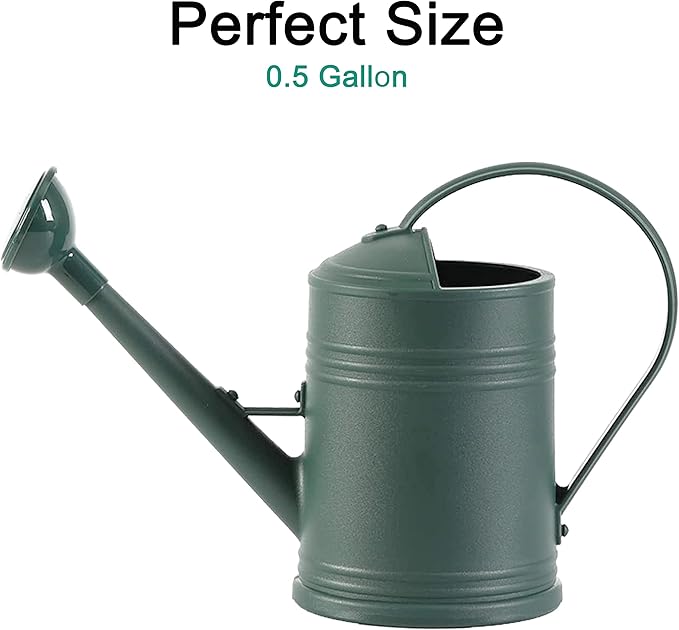 Watering Can for Indoor Plants, Flower Watering Can, Plastic Water Can for Plants, Indoor Watering Can with Sprinkler Head 68 oz, 1/2 Gallons