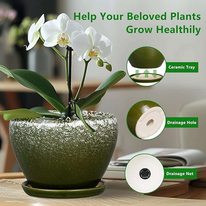 8 Inch Plant Pot - Ceramic Planter with Drainage Hole and Saucer, Modern Flower Pot for Glazed Indoor Plants Outdoor, Dark Green