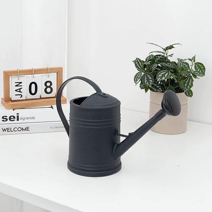 Watering Can for Indoor Plants, Flower Watering Can, Plastic Water Can for Plants, Indoor Watering Can with Sprinkler Head 68 oz, 1/2 Gallons