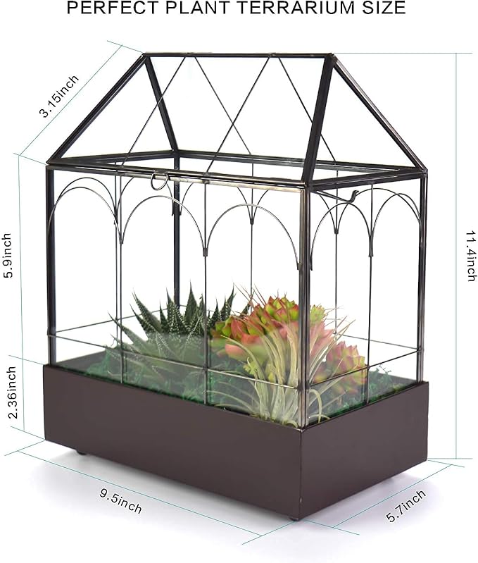 Large Tall Glass Plant Terrarium – House Succulent Terrarium Kit with Lip and Tray, 9.5”X5.7”X11.4”