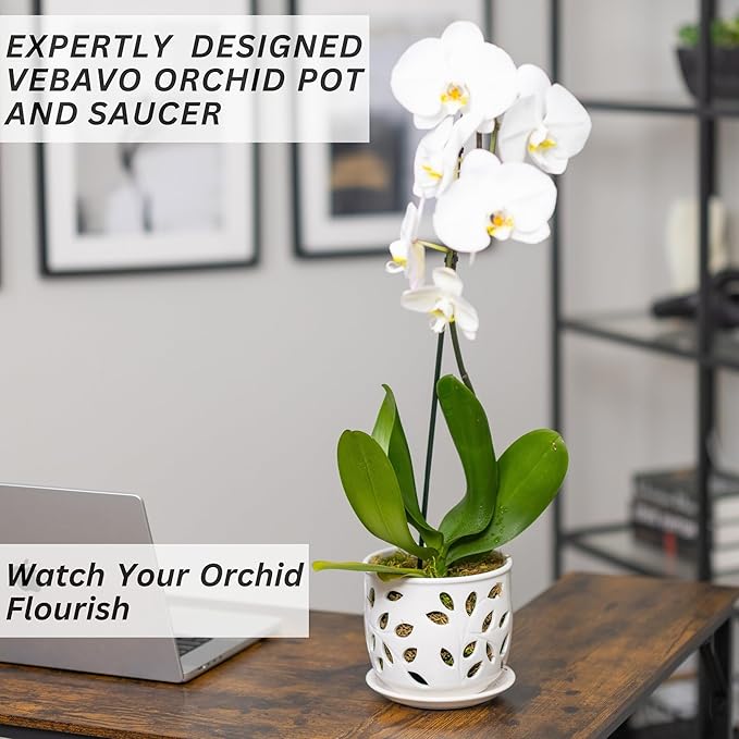 Orchid Pot with Holes & Saucer Ceramic 5.25 in. Indoor or Outdoor Large Pot for Orchid Care & Root Health with Precise Aeration & Drainage – Durable for Repotting or New Plants