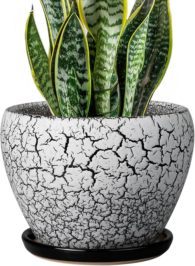 Ceramic Plant Pot 8 Inch - Ceramic Planter for Indoor Plants, Round Flower Pot with Drainage Hole and Saucer, Glaze White and Black