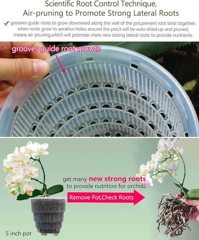 5 inch Orchid Pots with Holes for Repotting with Excellent Airflow, Set of 1, Double Layer Plastic Imitate Ceramic Orchid Planter, Clear Orchid Pot Match Decorative Orchid Container