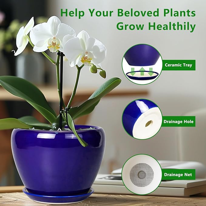 Ceramic Plant Pot 8 Inch - Planter for Outdoor Plants Indoor Plant Pot with Drainage Hole and Saucer Decorative Round Planter Modern Flower Pot for House Decor Blue
