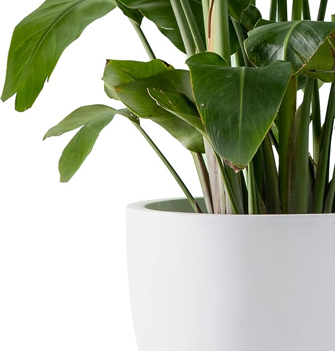 Kante 18",14",10" Dia Concrete Round Planters (Set of 3), Outdoor Indoor Large Planter Pots with Drainage Hole and Rubber Plug for Home Patio Garden, Pure White