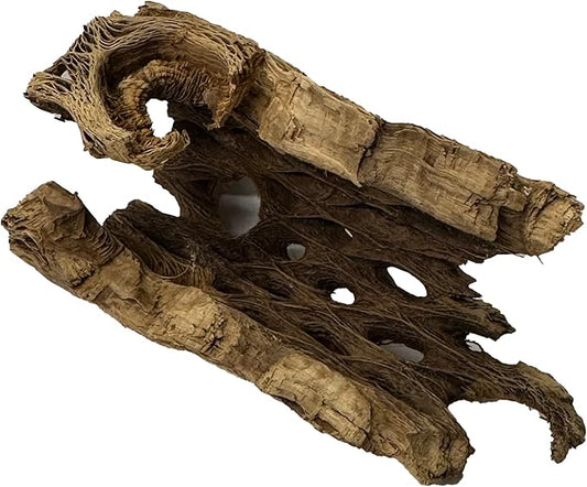 Natural Cholla Wood Chunk Air Plant Display Holders Individually Unique Decorative Stands Holder (Cholla Chunk)