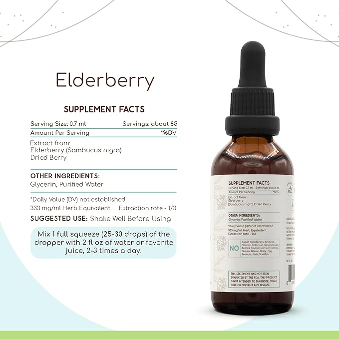 Elderberry B60 Herbal Extract Alcohol-Free Tincture, 2 fl