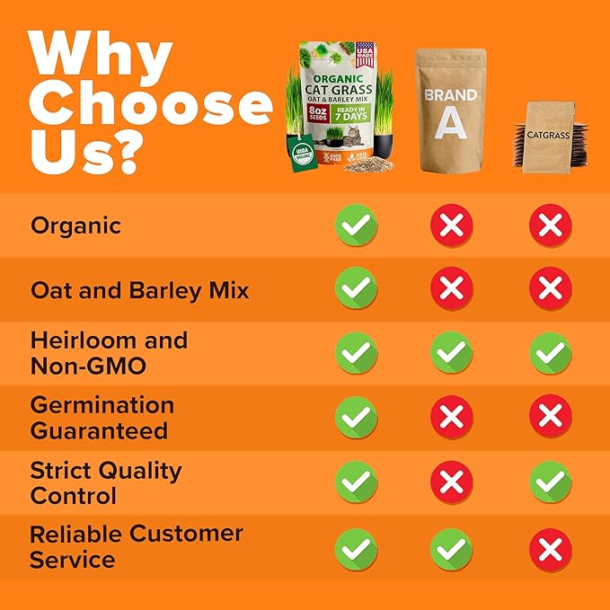 HOME GROWN Organic Cat Grass Seeds Pack 8oz – 7200 𝗡𝗢𝗡-𝗚𝗠𝗢 𝗨𝗦𝗔-𝗦𝗢𝗨𝗥𝗖𝗘𝗗 Heirloom Oat & Barley Grass Seeds for Indoor Cats – High Germination Hairball Relief, Pet Grass Ready in 7Days