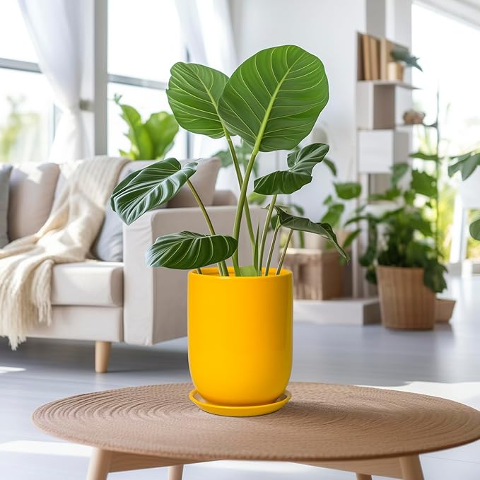 Plant Pot 8 Inch - Ceramic Plant Pot with Drainage Hole and Saucer Large Planter for Indoor Plants Outdoor Modern Flower Pot for Home Garden Decor Yellow