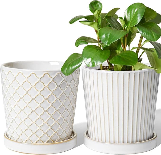 LE TAUCI Ceramic Pots for Plants, 5.4 Inch Plant Pots with Drainage Hole and Saucer, Indoor Plant Pots for Succulent, Snake Plants and Cactus, Flower Pots, Set of 2, Reactive Glaze White
