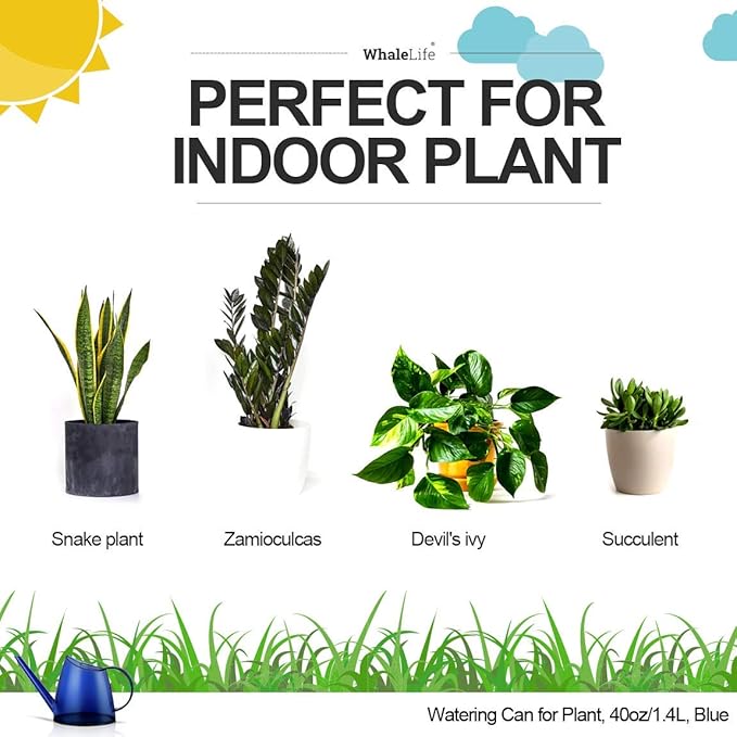 WhaleLife Indoor Watering Can for House Bonsai Plants (1.4L, Blue)