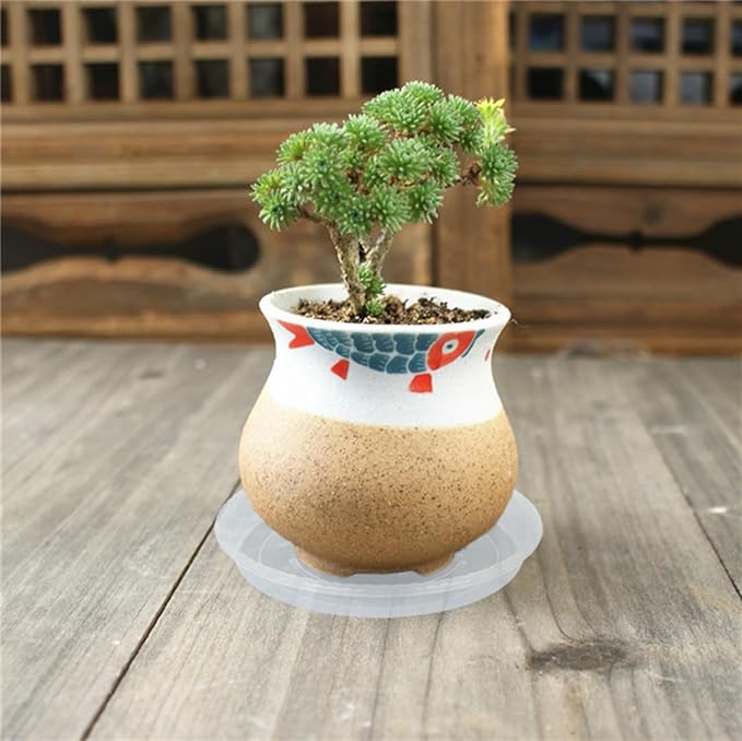 Plant Saucer 6 Pack of 4 6 8 10 12 14 16 inch, Clear Plastic Flower Plant Pot Saucer, Heavy Duty Plant Drip Trays Saucers for Indoor, Plant Water Tray for Planters (6", Clear)