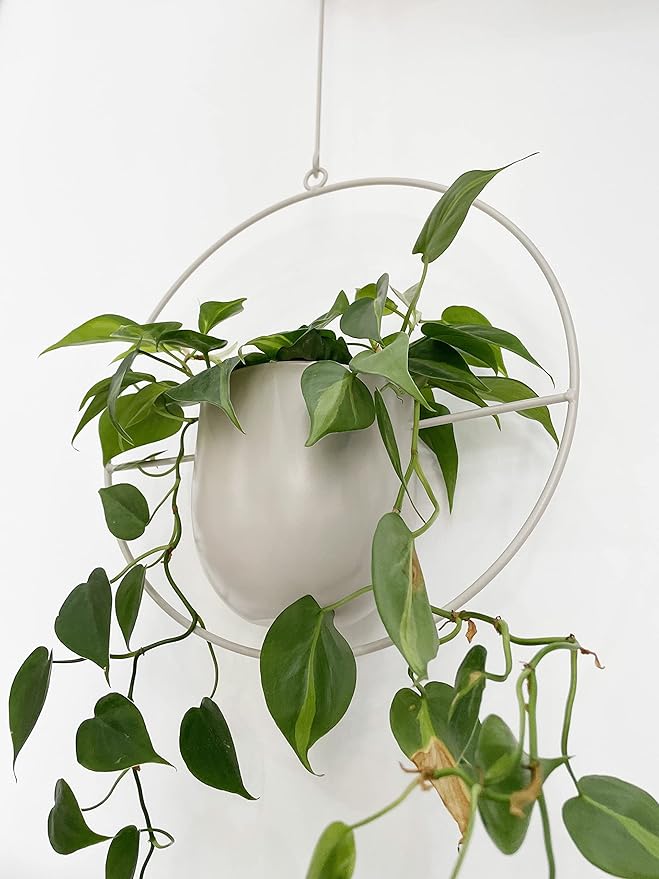 Boho White Metal Plant Hanger,Metal Wall and Ceiling Hanging Planter, Modern Planter, Mid Century Flower Pot Plant Holder, Minimalist Planter for Indoor Outdoor Home Decor…