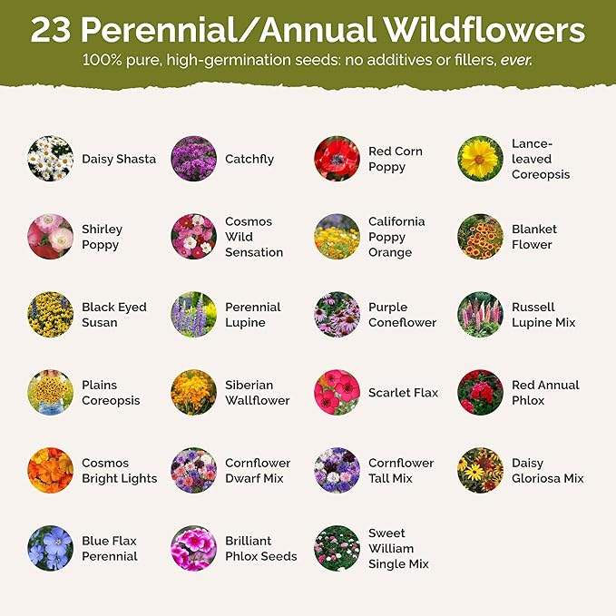 Eden Brothers Connecticut Wildflower Mixed Seeds for Planting, 1/4 lb, 120,000+ Seeds with Cornflower, Cosmos | Attracts Pollinators, Plant in Spring or Fall, Zones