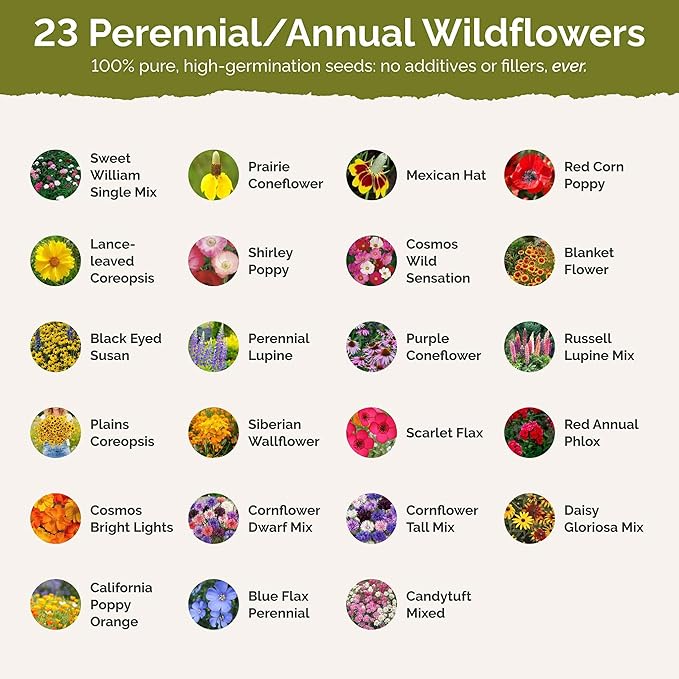 Eden Brothers Indiana Wildflower Mixed Seeds for Planting, 1 oz, 30,000+ Seeds with Sweet William, Cornflower | Attracts Pollinators, Plant in Spring or Fall, Zones