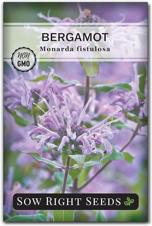Sow Right Seeds - Bergamot (Bee Balm) Flower Seeds for Planting - Beautiful Flowers to Plant in Your Home Garden - Non-GMO Heirloom Packet with Instructions - Native Wildflower and Medicinal Herb (1)