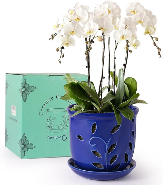 6.1 in Ceramic Orchid Pot with Holes & Saucers, Large Orchid Planter for Indoor Outdoor Home Decor, Flower Plant Pot with Drainage for Repotting, Blue