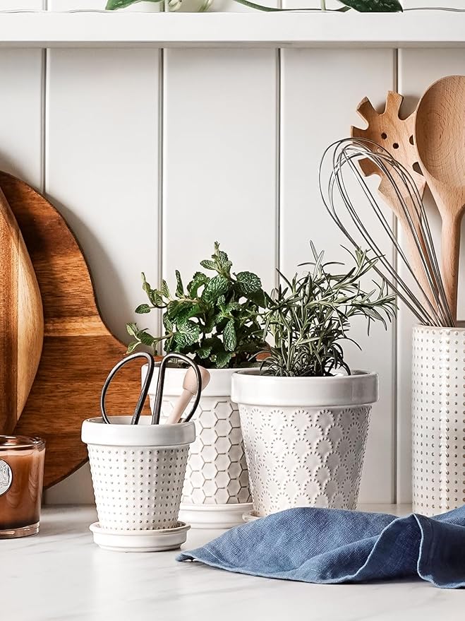 LE TAUCI Ceramic Succulent Pots, 3 Inch Mini Flower Pots for Indoor Plant Cactus, Embossed Small Plant Pot with Drainage Hole & Saucer, Home Decor - Set of 4, Arctic White