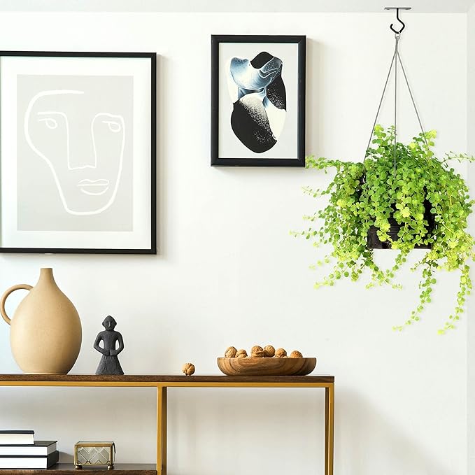 AJART Ceiling Hooks for Hanging Plants: Iron Plant Hanger for Wall Mount - 8 Pack/2.5 Inch Ceiling Hook for Indoor Use