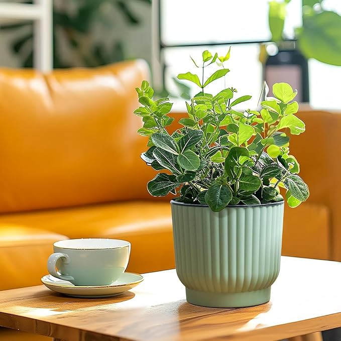 T4U 4.5 Inch Self Watering Pots for Indoor Plants, 6 Pack Green Plastic Flower Pots for All House Plants, Flowers, African Violets