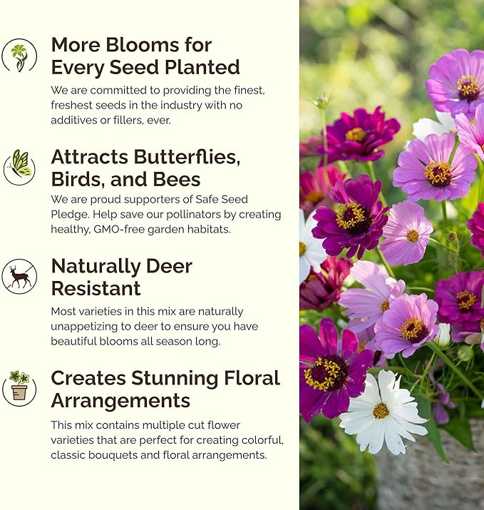 Eden Brothers Purple Rain Flower Mixed Seeds for Planting, 1/4 lb, 120,000+ Seeds with Zinnia Purple Prince & Violet Queen, Cosmos, Attracts Pollinators, Plant in Spring, Zones 3, 4, 5, 6, 7, 8, 9, 10