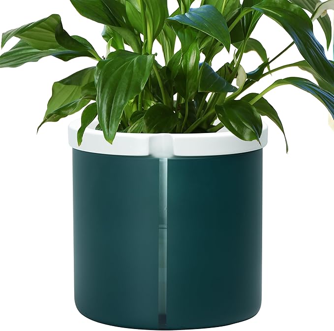 D'vine Dev 10 Inch Design Self Watering Planter for Indoor Plants, White Terracotta Pot with Teal Cylinder Glass Cup, 37-X-D-5