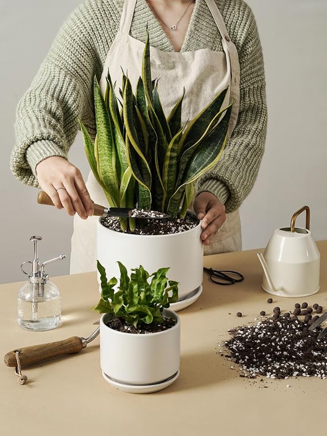 LE TAUCI Ceramic Plant Pots, 8 + 10 Inch Pots for Plants, Indoor Plant Pots for Home and Office, Modern Flower Pots Fit Mid Century Plant Stand, Planters with Drainage Holes and Saucers, White