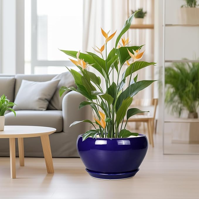 Ceramic Planter - 13 Inch Indoor Plant Pot for Plants with Drainage Hole and Saucer Large Planter Round Outdoor Flower Pot Mid-Century for House Patio Room Decor Blue