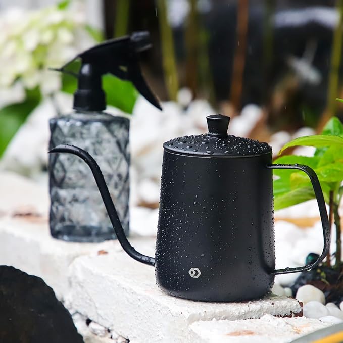 OFFIDIX Watering Can for Indoor Plants,Long Spout Metal Stainless Steel 21 oz/600 ml Watering Can with 14 oz/400ml Glass Plant Mister Spray Bottle for Plant Bonsai