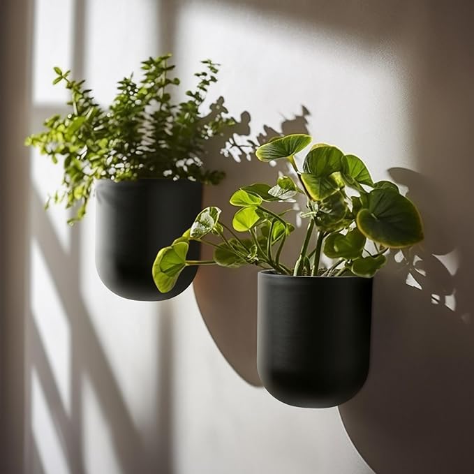 LA JOLIE MUSE Wall Hanging Planters for Indoor Plants，Hanging Flower Pots for Air Plants Succulent, Set of 2, 6 Inch, Black