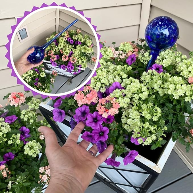 Evelots Plant Watering Globes/Bulbs (2 Pack) - Extra Long 14 Inches - Great for Big Plants - Hand Blown Glass - Automatic Water Irrigation System - Use Indoor/Outdoor - Leave Your Home Worry Free