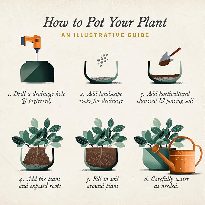 ARBORA 16" Monaco Square Polyresin Indoor and Outdoor Planter with Classic Black Finish - Durable, Weatherproof, Lightweight, Large Plant Pot for Patio, Garden, Deck, Entryway