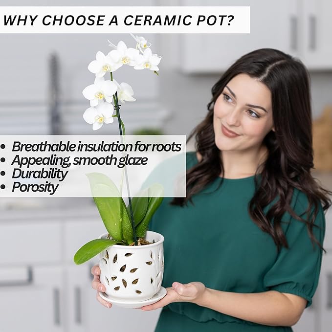 Orchid Pot with Holes & Saucer Ceramic 6.5 in. Indoor or Outdoor Large Pot for Orchid Care & Root Health with Precise Aeration & Drainage – Durable for Repotting or New Plants