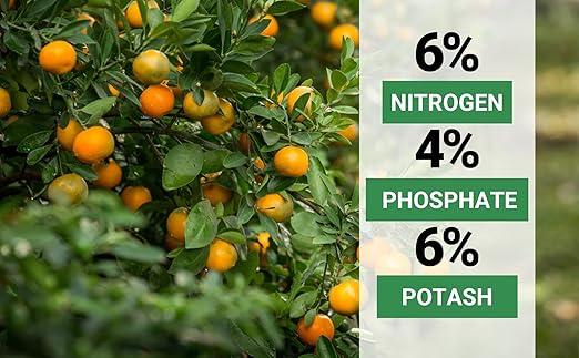 6-4-6 Avocado and Citrus Tree Professional Fertilizer Plant Food for Outdoor/Indoor Gardening; Quick-Release Nitrogen Fertilizer; Orange, Lime, Avocado and Lemon Tree Fertilizer (2 QUARTS)