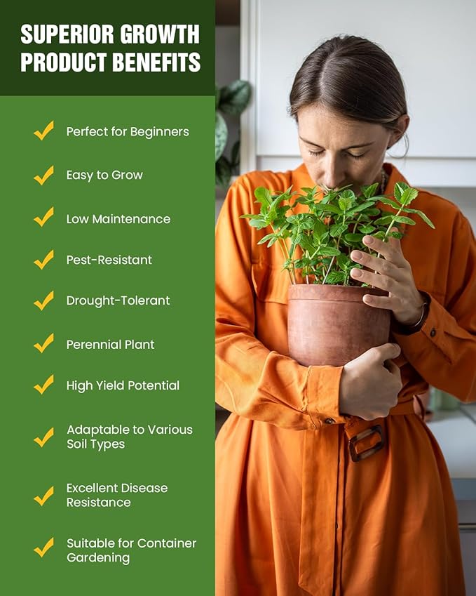 Organic Cat Grass & Catnip Seeds Kit – 3 Pack Oat & Barley Grass for Indoor Cats – Fast 7-Day Growth, High Germination, Hairball Control & Play – Pet-Safe Planting Set