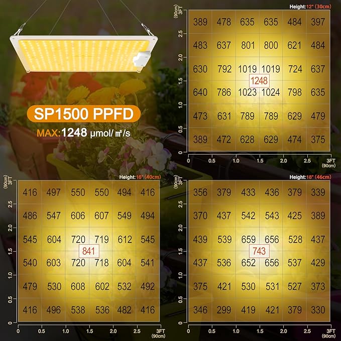 LED Grow Light, SP1500 Sunlike Full Spectrum Dimmable Plant Lights with Thermometer, Growing Lamps for Indoor Plants Seedlings Veg Bloom 4.5x4.5ft