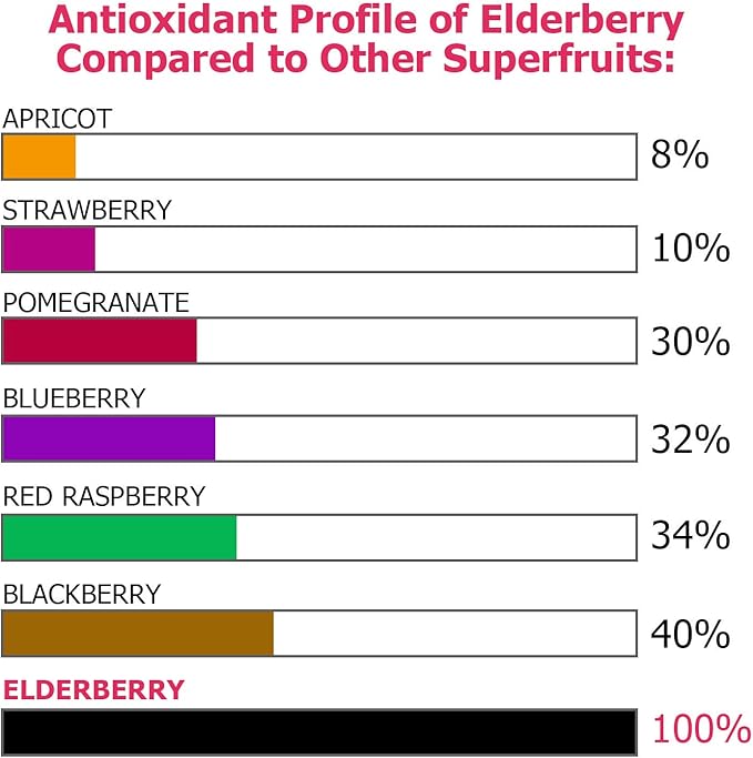ECO-TASTE Elderberry Capsules with Zinc & 120 Capsules,
