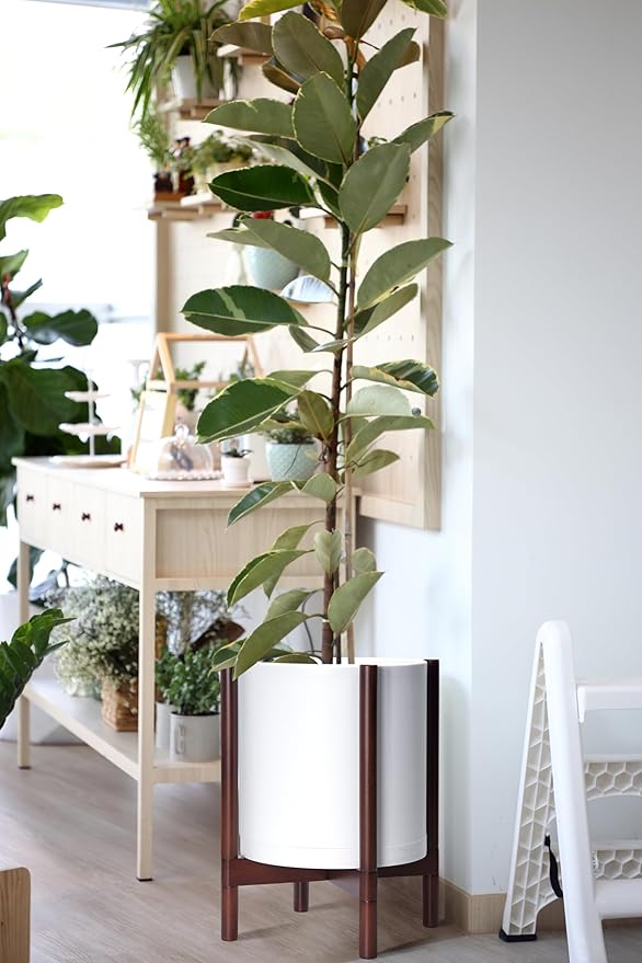 D'vine Dev Planter Pot with Stand - 12 Inch Plastic Cylinder Flower Pot with Wood Planter Holder for Indoor, Matte White Pot + Mahogany Stand, 55-C-O-1