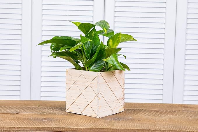 Wood Planter Box with Diamond Cross Hatch Style, 5 Inch Square, Rose Wood, Plastic Liner, Wedding Flowers Holder, Home and Venue Decor (5x5 Diamond Cross Hatch Set of 4, Rose Wood)