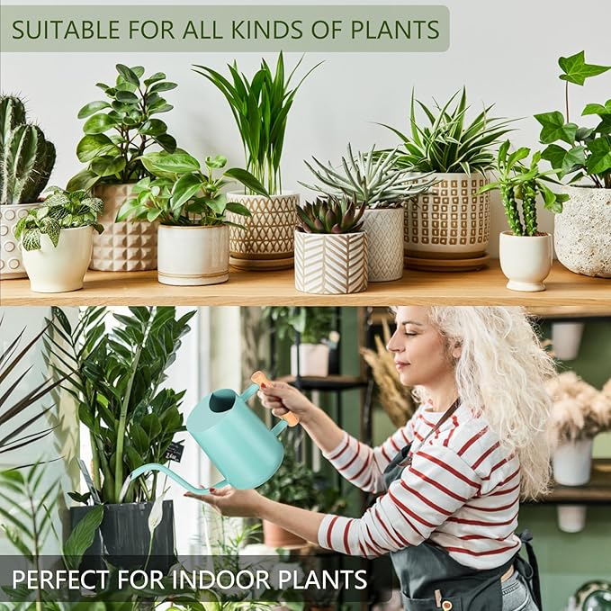Watering Can Indoor Plants, 35oz Small Watering Can Indoor Stainless Steel Metal Watering Can Modern Decorative Watering Pot with Long Spout for Indoor House Plant Bonsai Outdoor Garden Flowers -Green