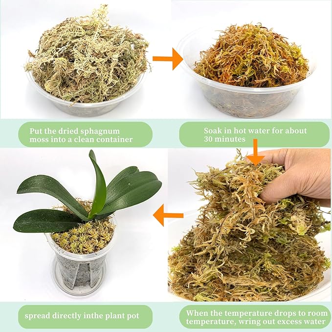 1.2LBS Premium Sphagnum Moss, Reptiles Dried Moss, Plants Propagation Plant Growing Medium for Monstera Orchid Potting Mix (Appx 30 QT)