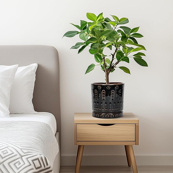 Ceramic Plant Pots - 6 Inch Ceramic Planter for Indoor Outdoor, Round Flower Pots with Drainage Hole and Plant Saucer, Boho Decorative Small Planter, House Decor, Gifts for Gardeners, Black