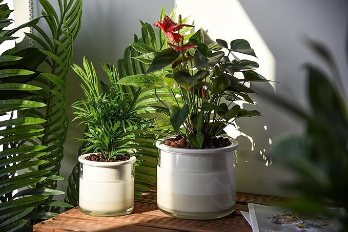 Phoenix Vine 6 Inch 4 Inch Self Watering Planter Pots, Design White Terracotta Pots for Plants, Indoor Cylinder Terra Cotta Pots with Glass Vase Set, 51-B-G-46