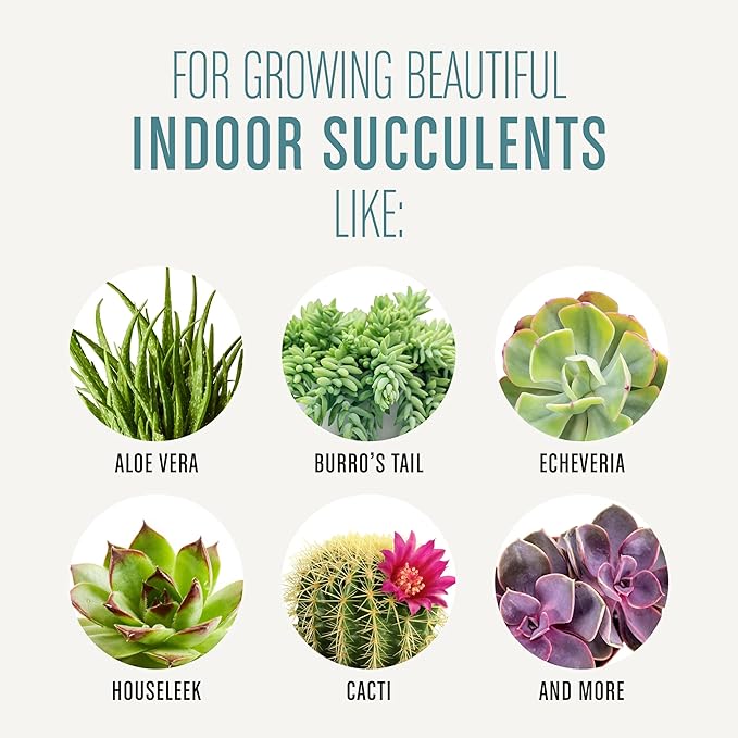 Miracle-Gro Succulent Potting Mix, For Indoor Succulents, Aloe Vera and More, Made with Miracle-Gro Plant Food, 4 qt