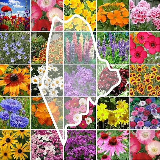 Eden Brothers Maine Wildflower Mixed Seeds for Planting, 1 lb, 480,000+ Seeds with Lupine, Cornflower | Attracts Pollinators, Plant in Spring or Fall, Zones