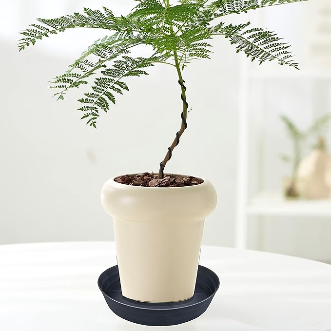 Plant Saucer 10 12 14 16 18 20 25 Inch Extra-Deep Plant Trays for Flower Pot, Heavy Drainage Tray for Indoors No Holes, 4 Pack of Plastic Plant saucers Water Catcher for Pots Base (10 Inch, Black)