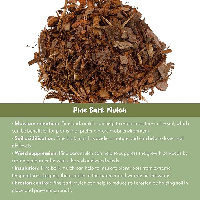 100% Natural Pine Bark Mulch Nuggets (12 Quarts), Small Mulch Chips for Indoor/Outdoor Container Gardening, Ideal for Soil Supplement, Houseplant Mulch, and Terrariums