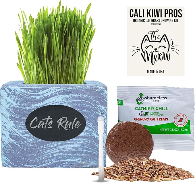 Cat Grass for Indoor Cats Kit – Organic Wheatgrass Seed & Soil, Hairball Remedy in Red Cedar Planter, Gift Box with Bonus Label, Pen & 10% Cat Treats Discount (Coast)