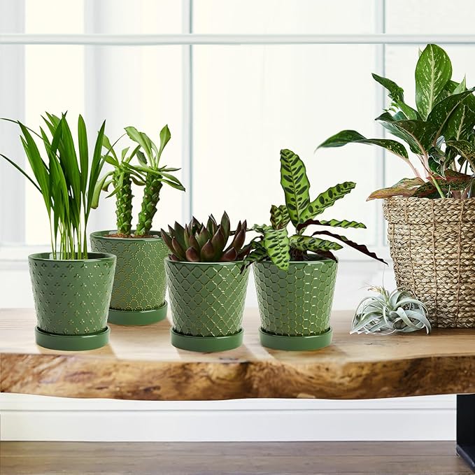 EFISPSS Ceramic Plant Pots, 5 Inch Planters with Drainage Holes and Ceramic Tray, Relief Design Flower Planter，Desktop Office Windowsill Decoration Gift Set of 4 - Blackish Green